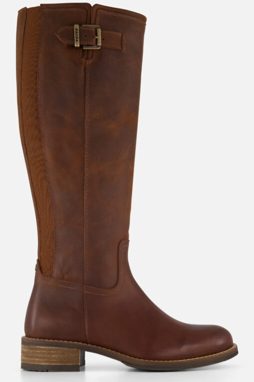 Cellini Hoge laarzen bruin Nubuck
